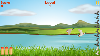Image 2 for Duck Shooter