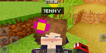 Image 0 for Jenny Addon