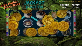 Image 3 for Cats Casino Video Slots