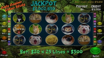 Imagen 3 para Cats Casino Video Slots