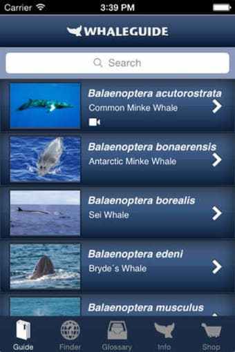 Image 0 for WhaleGuide for iPhone