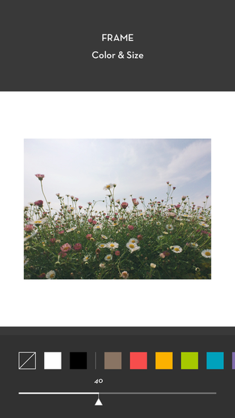 Image 0 for Whitagram
