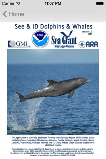 Image 0 for See & ID Dolphins & Whale…