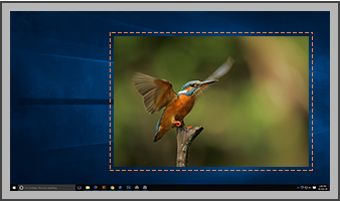 Image 1 for TweakShot Screen Capture
