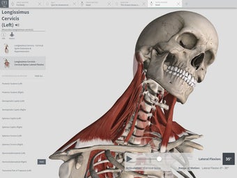 Image 3 for Complete Anatomy 2018