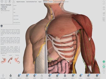 Image 2 for Complete Anatomy 2018