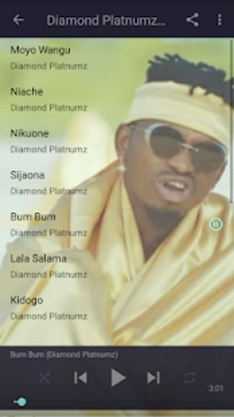Image 0 for Best Songs of Diamond Pla…