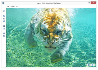 Image 0 for InViewer
