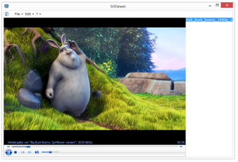 Image 1 for InViewer