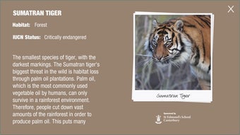 Image 1 for Aspinall Wild Animal Park…