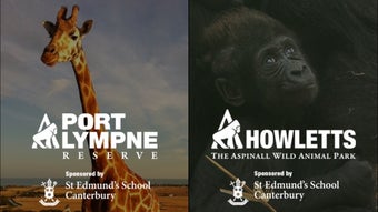 Image 0 for Aspinall Wild Animal Park…