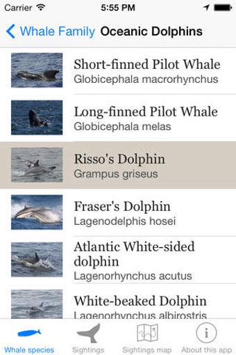 Image 0 for Whale Watching