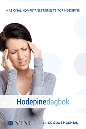 Image 0 for Hodepinedagboka