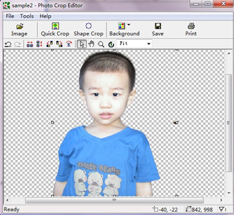 Image 2 for Photo Crop Editor