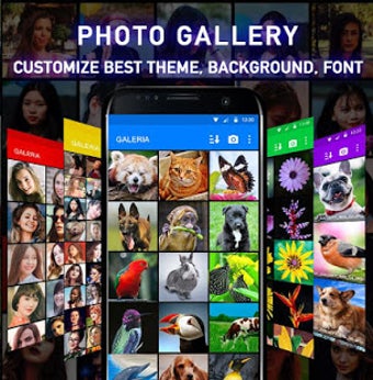 Image 2 for Photo Gallery