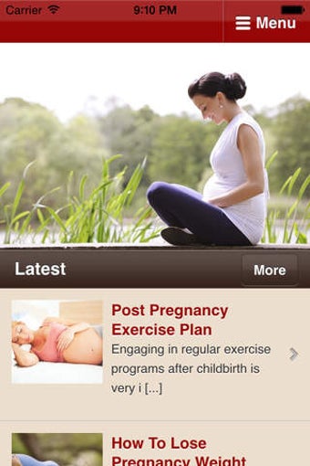 Image 0 for Pregnancy Exercise - Basi…