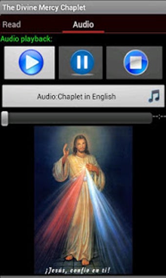 Imagen 1 para Divine Mercy Chaplet
