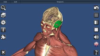 Image 0 for 3D Bones and Organs (Anat…