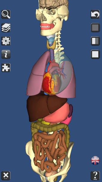 Image 1 for 3D Bones and Organs (Anat…