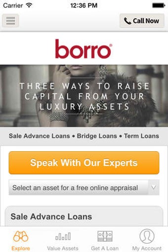 Image 0 for Borro