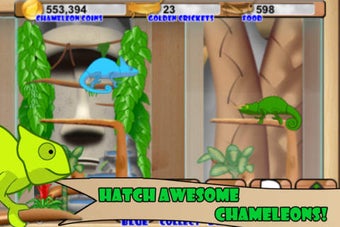 Image 0 for Chameleon Care