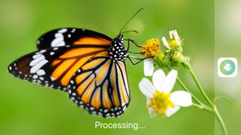 Image 0 for InsectSnap - Insect Ident…