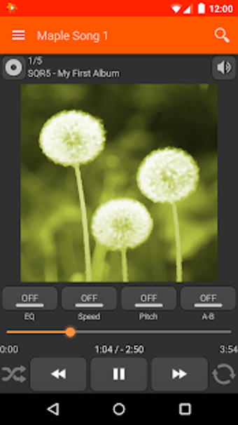Image 0 for Maple Player JB