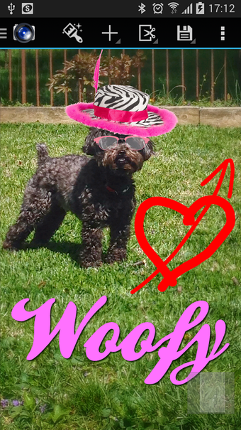 Imagen 2 para Image Editor