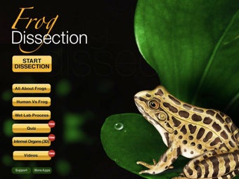 Image 2 for Frog Dissection