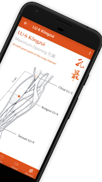 Image 1 for A Manual of Acupuncture