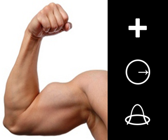 Imagen 1 para Muscle Editor - Bodybuild…