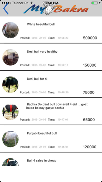 Image 3 for MY BAKRA : Buy Bakra Onli…