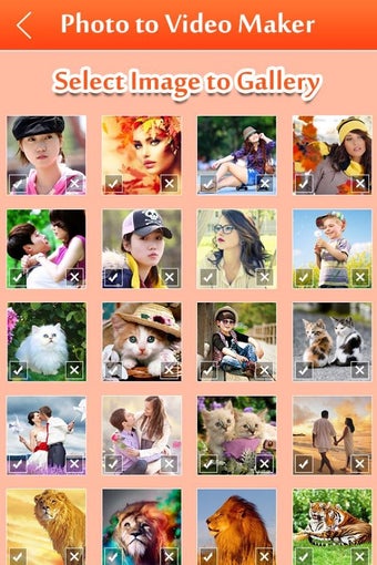 Image 3 for Photo Video Maker with Mu…