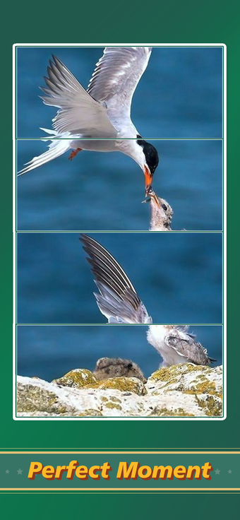 Image 0 for Jigsaw Puzzle Art: Relax …