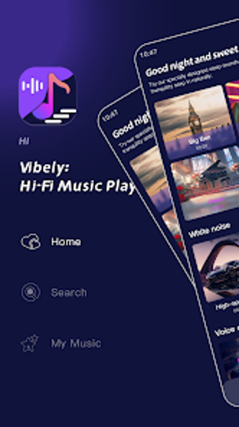 Image 0 for Vibely : Hi-Fi Music Play…