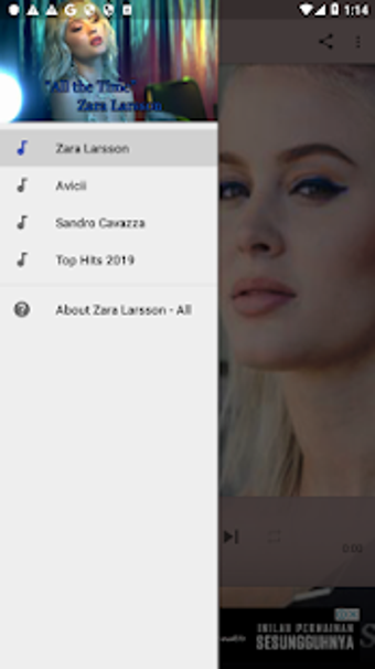 Imagen 3 para Zara Larsson ~ New Song