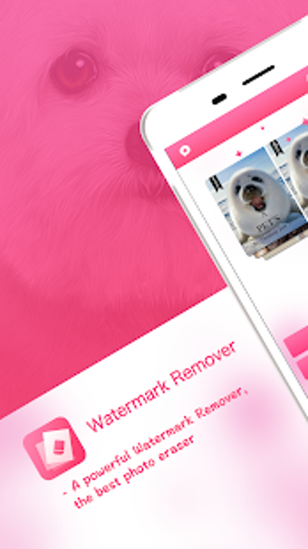 Imagen 0 para Background Eraser - water…