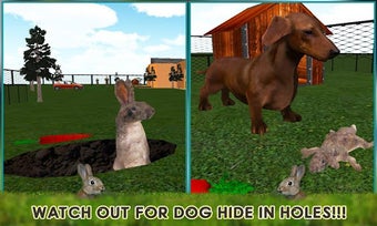 Image 1 for Pet Rabbit Vs Dog Attack …