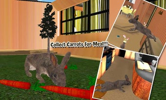 Image 2 for Pet Rabbit Vs Dog Attack …