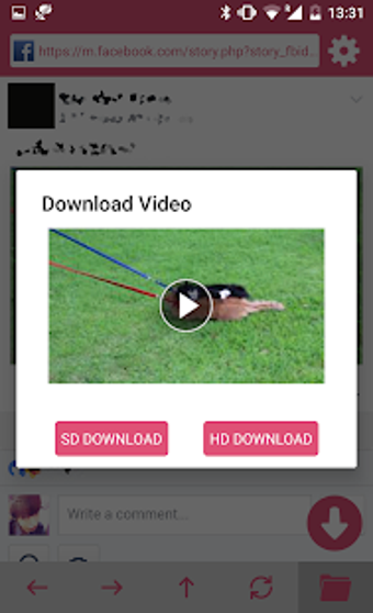 Image 2 for HD Video Download for Fac…