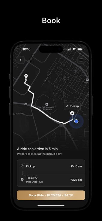 Imagen 0 para Tesla Robotaxi