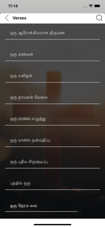 Image 2 for Tamil Holy Bible with aud…