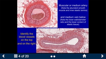 Image 3 for Histology Complete -Secon…