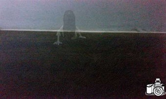 Image 1 for Ghost Detector Spectrum f…
