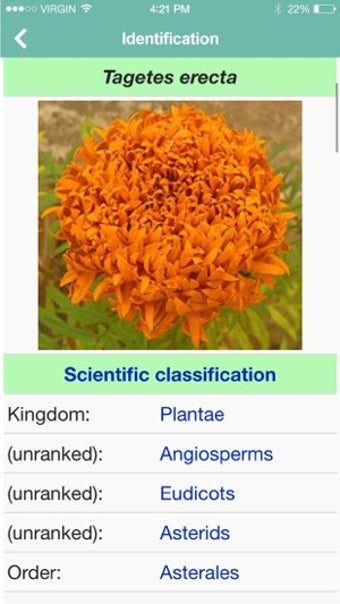 Image 1 for Garden Flower Identificat…