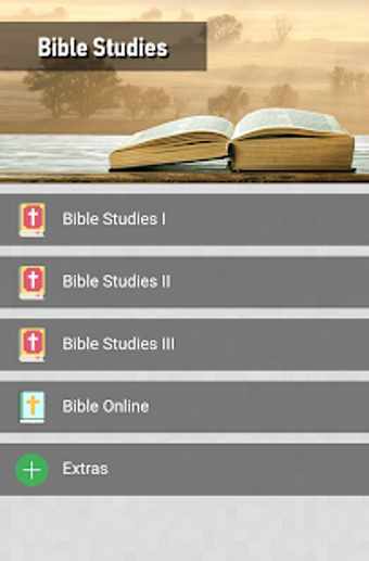 Image 3 for Bible Studies in depth fo…