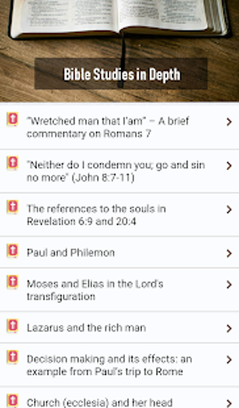 Image 1 for Bible Studies in depth fo…