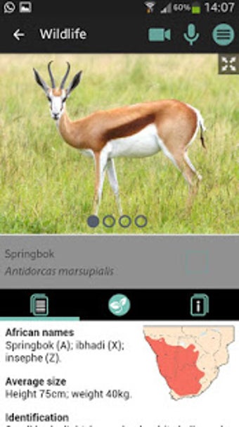 Image 0 for Sasol Wildlife for Beginn…