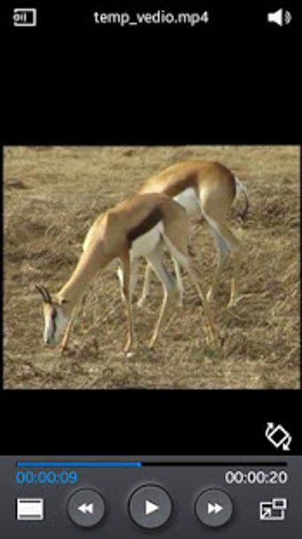 Image 3 for Sasol Wildlife for Beginn…