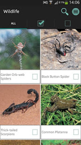 Image 2 for Sasol Wildlife for Beginn…
